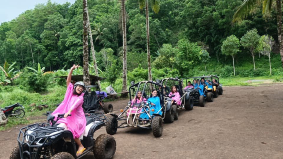 Alleah's Bohol Travel and Tours